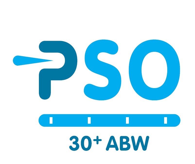 De PSO / 30+ ABW Certificaat en de Code Sociale Ondernemingen - Overeenkomsten en verschillen
